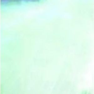 Meet your Posher, Bry